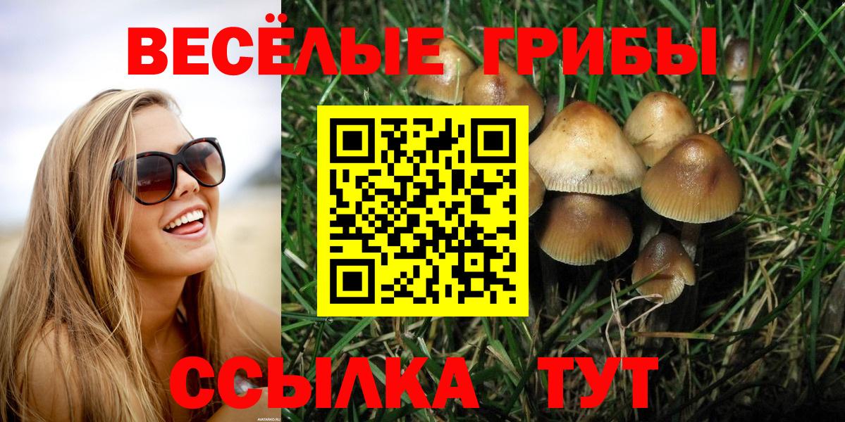 Псилоцибиновые грибы GOLDEN TEACHER Волоколамск